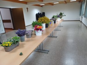 Read more about the article Maria Himmelfahrt 2025